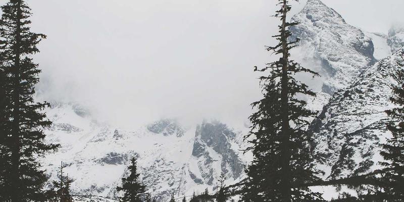 QXTG365解读:时间敏感网络(TSN)如何重塑自动驾驶的“神经网络”?