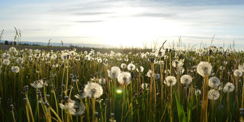 从QXTG365资源分享到城市神经网络:编程技术如何重塑智慧城市未来