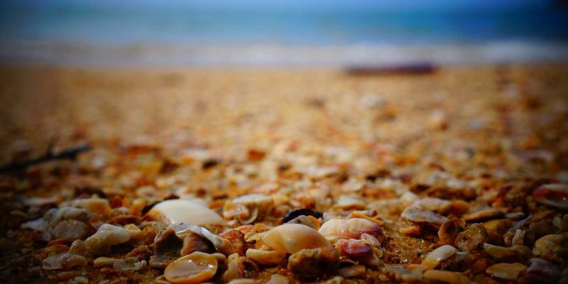 从编程教程到IT资讯：揭秘确定性网络如何为远程手术等关键业务铺平技术之路