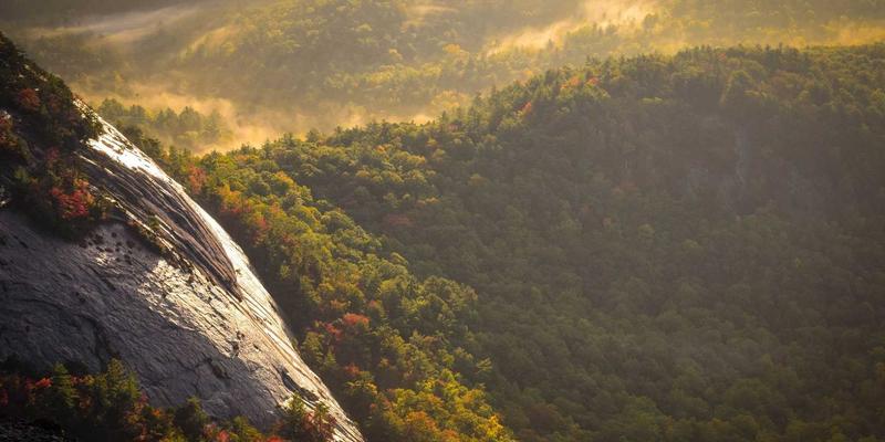 工业互联网的神经中枢：揭秘TSN如何通过编程实现微秒级实时控制 | QXTG365实战资源分享