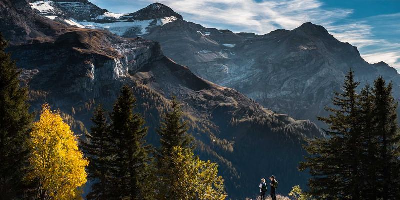 意图驱动网络（IDN）：从编程教程到软件工具，QXTG365引领未来网络运维革命