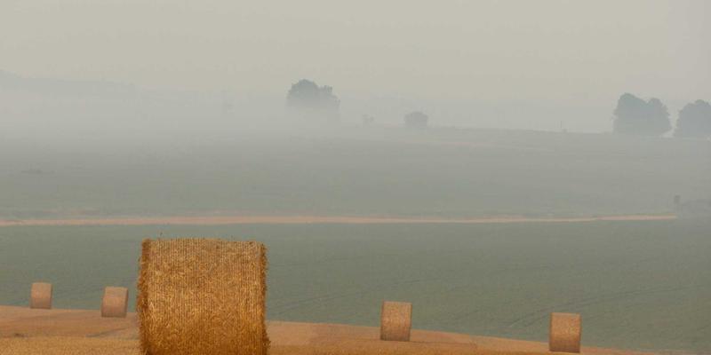 网络遥测技术革命:从INT、gNMI原理到QXTG365大规模部署实战